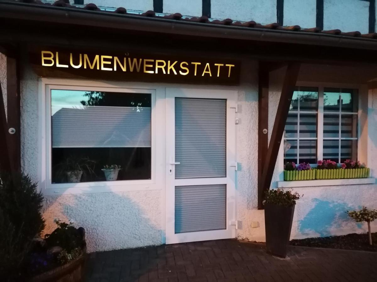 Blumenwerkstatt Mit Sauna Und Jacuzzi * Dankerode (Saxony-Anhalt)